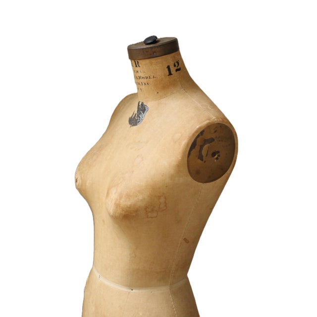 Ecru 1953 Hallmarked Bauman Dress Form/New York For Sale - Image 8 of 9