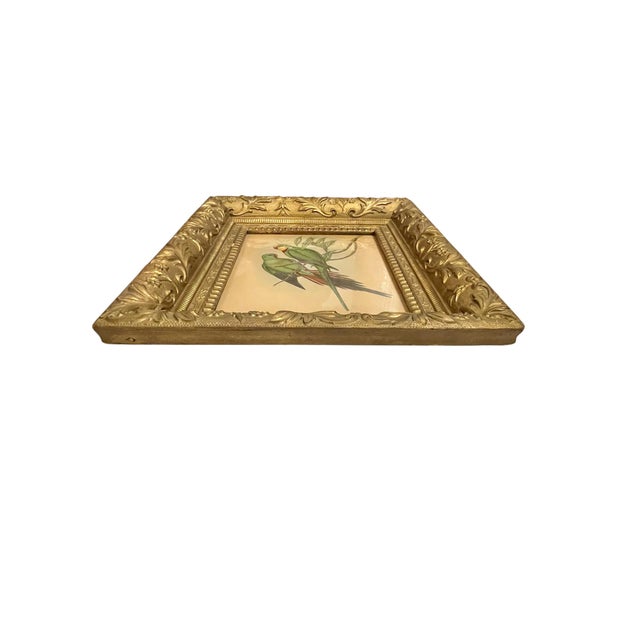 Early 20th Century Framed J. Gould Bird Prints in Ornate Gilt Frames - a Pair For Sale - Image 4 of 18