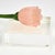 Early 21st Century Group of Five Art Glass Long Stem Flowers For Sale - Image 5 of 9
