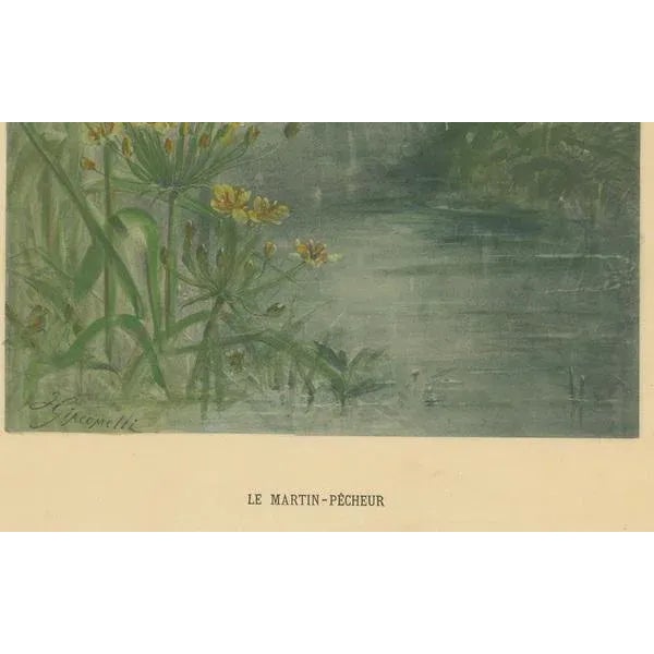 Giacomelli, Kingfisher by the Water's Edge, 1891, Print For Sale - Image 3 of 7