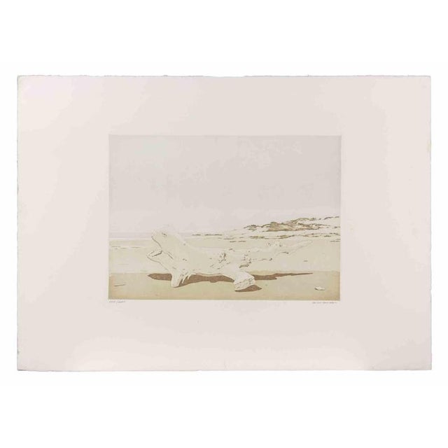 Etching realized in 1980s. Hand signed and numbered in pencil. Edition of 35, in roman numbers. Very good condition. This...