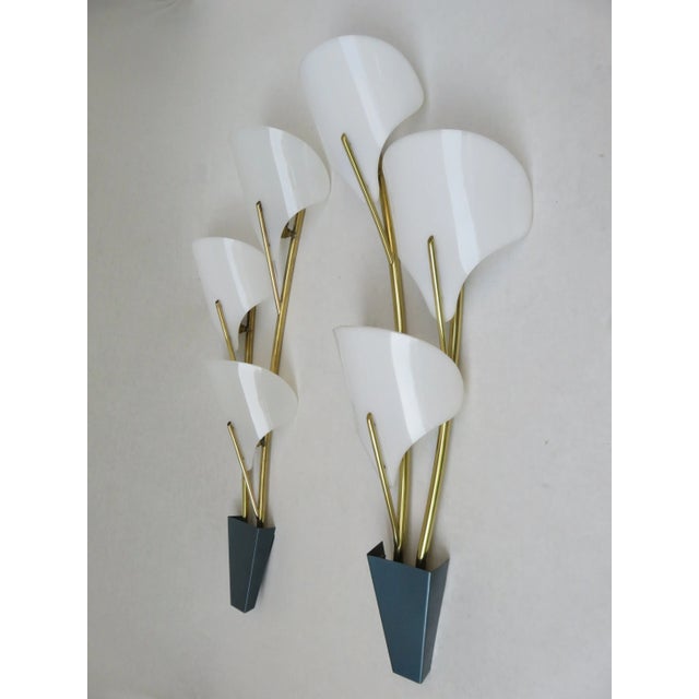 A pair of large wall sconces, cinema lighting, from the 50s from Italy. The arms are brass, the wall bracket is painted in...