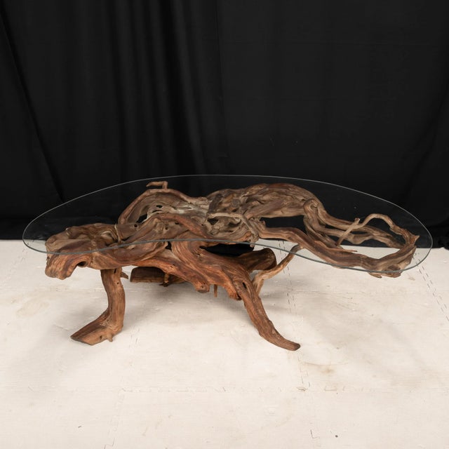 Mid-Century Organic Modern 1960s Driftwood Coffee Table Original Biomorphic Kidney Glass Top For Sale In Tampa - Image 6 of 16