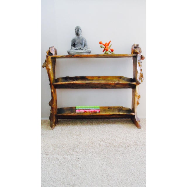 Slab Wood Tree Trunk Live Edge Bookcase Book Shelf Daryl Stokes Style