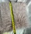 2010s Dusty Pink Mongolian Faux Fur Pillow For Sale - Image 5 of 5