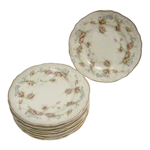 Early 20th Century Floral Haviland Dessert Plates, Set of 8