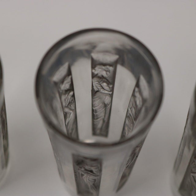1910s Art Nouveau Rene Lalique Glass Shot Glasses Set of 6 Boxed For Sale - Image 16 of 18