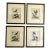 Set of 4 Framed 18th Century George Edward’s Hand Colored Bird Prints For Sale