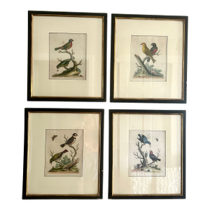 Set of 4 Framed 18th Century George Edward’s Hand Colored Bird Prints
