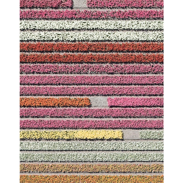Photography "AV_Tulip_Fields_006" Contemporary Limited Edition Photography Fine Art Print by Bernhard Lang For Sale - Image 7 of 12