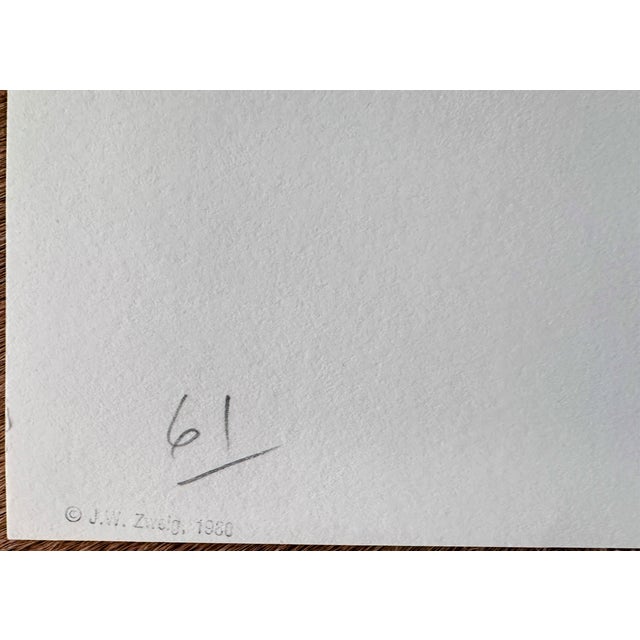 Original Signed Hunt Slonem Serigraph Pillow Jungle For Sale - Image 12 of 14