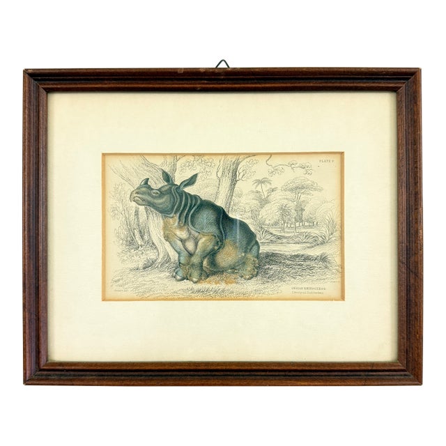 James Stewart Indian Rhinoceros Hand Colored Copper Engraving, Framed – 1836 For Sale