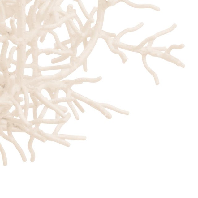 Whimsical ocean coral inspired, iron chandelier, white finish, eight lights. Can be painted in any benjamin moore color....