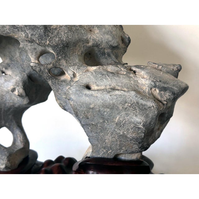 19th Century Extraordinary Chinese Taihu Scholar Stone Rare Form on Display Stand For Sale - Image 5 of 18