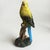 Pair of Resin Parakeet Figurines – 6.1" Realistic Bird Sculptures on Branches For Sale - Image 13 of 16