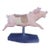 19th Century French Carousel Pig For Sale