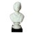 Antique Charles Sumner Figural Frosted Milk Glass Bust Paperweight Sculpture For Sale