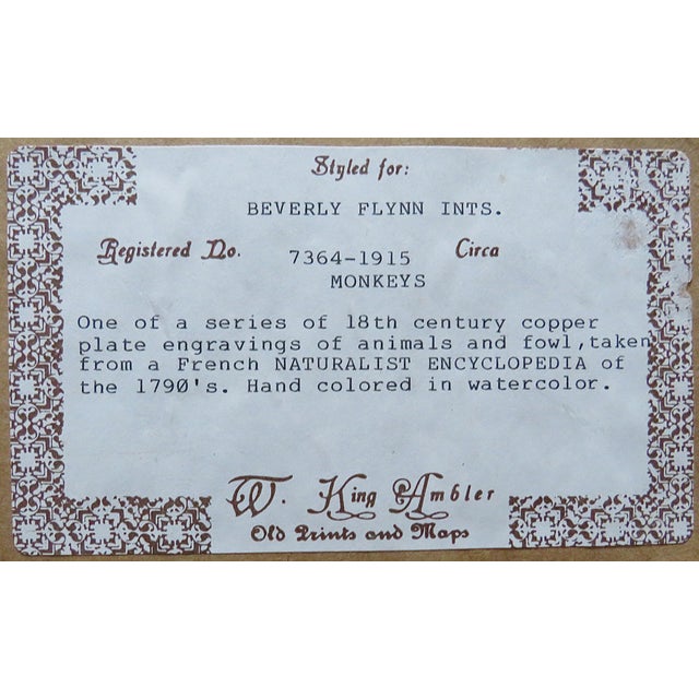 Wood 1 of 3 18th Century French Hand Colored George-Louis Leclerc Comte De Buffon Monkeys Copper Engravings Framed Antique - Mandrill Femelle For Sale - Image 7 of 7