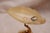 Footed Vase Gold Dolphin Decor, 1950s For Sale - Image 12 of 18