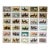 Authentic Collection of 19th Century Kramer Chicken Chromolithographs in Color For Sale