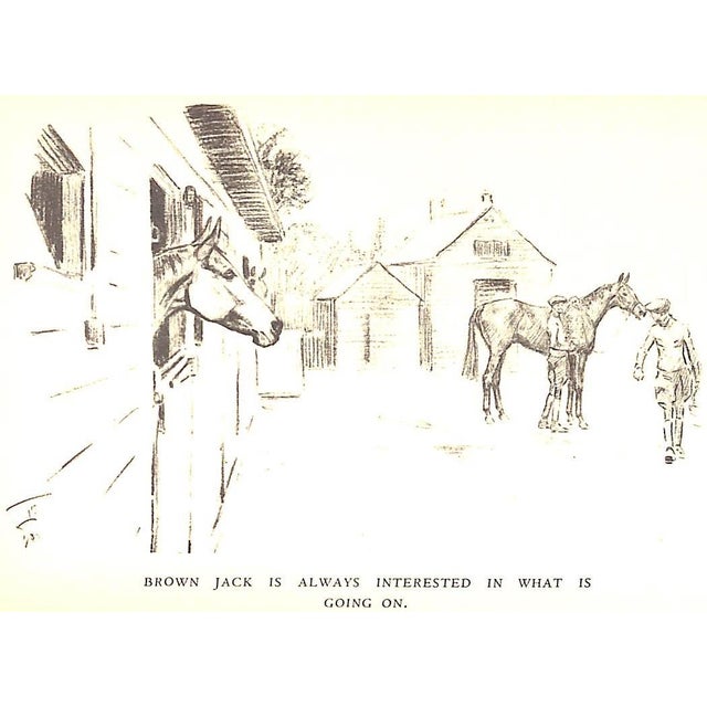 "Brown Jack" Book 1934 Lyle, r.c. For Sale - Image 10 of 12