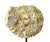 Stone Ammonite Fossil Sculpture on Wooden Stand, Organic Modern Design For Sale - Image 7 of 8