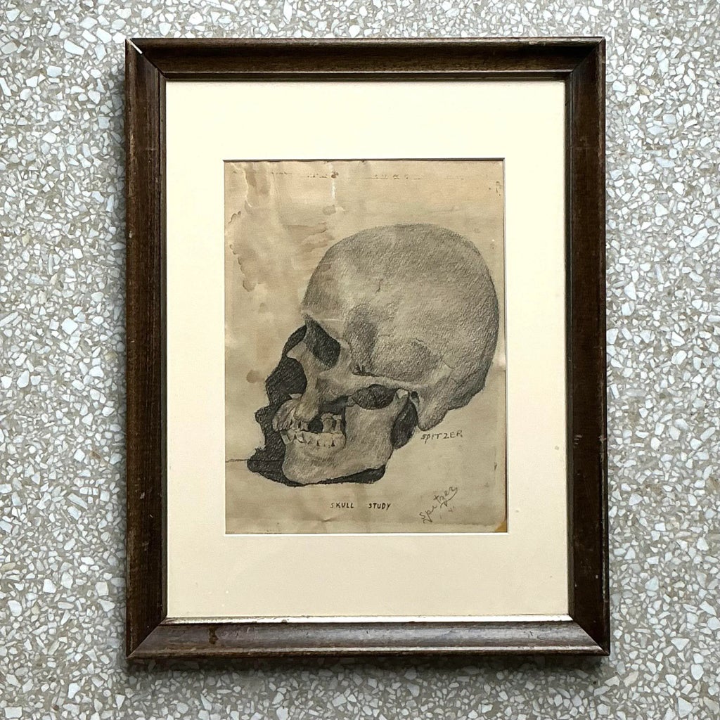 Vintage Boho Original Pencil Sketch of Skull | Chairish