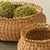 Boho Chic Seagrass Loop Baskets, Set Of 3 For Sale - Image 3 of 3