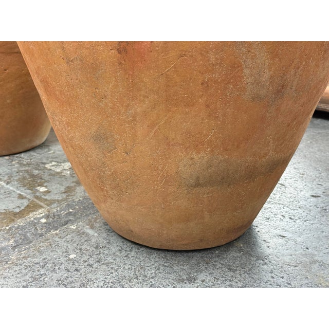 Terra Cotta Italian Terra Cotta Outdoor/Indoor Pot For Sale - Image 8 of 12