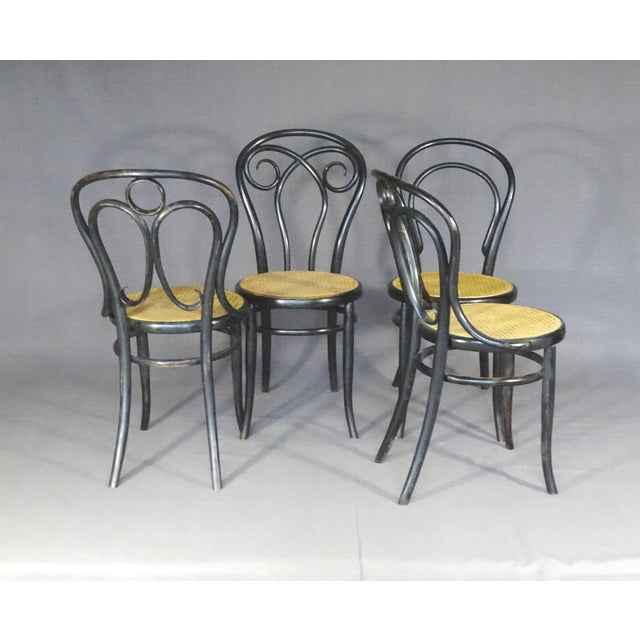 Set of 4 KOHN chairs, black Empire style, Viennese cane. Their date of manufacture ranges between 1882 and 1890. We have...