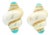 Vintage Maz Jumbo 14k Gold Shell and Turquoise Cabochon Earrings, A Pair For Sale