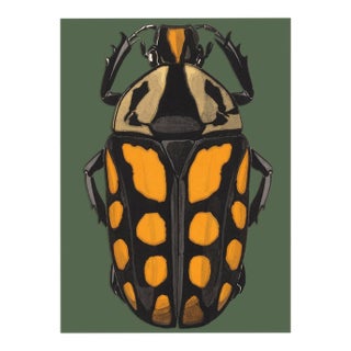 Bugs by Seguy #20/30 For Sale