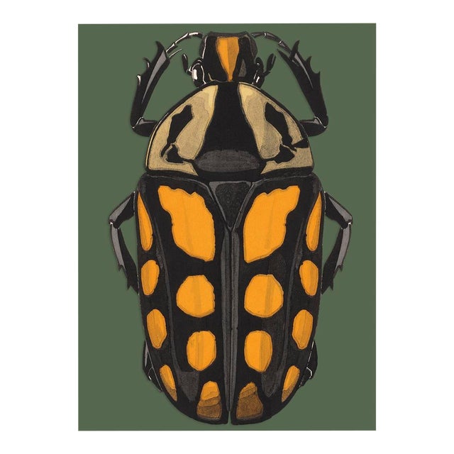 Bugs by Seguy #20/30 For Sale