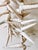Shell Vintage Coastal Beach Seashells Holiday Christmas Garland or Table Decor For Sale - Image 7 of 11