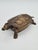 1970s Brass Turtle Box, 1970s For Sale - Image 5 of 13