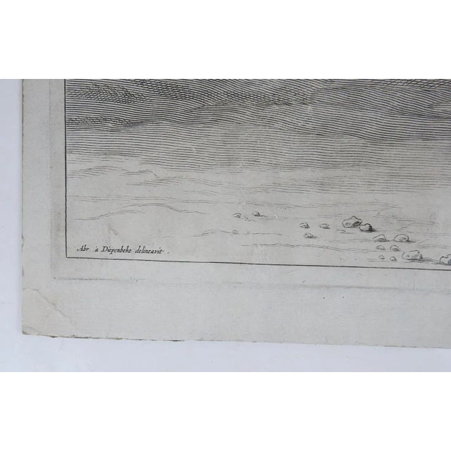 Antique 1658 engraving on paper of horse and rider performing dressage movement after Abraham van Diepenbeeck. From 'A...