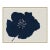 Hellebores I (var. 1) by Susan Hable, Silver Frame For Sale