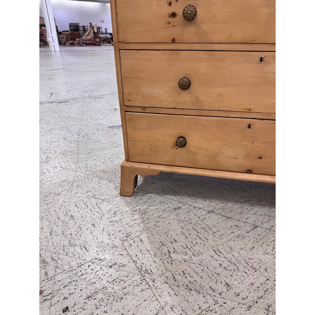 19th Century English Pine Chest of Drawers For Sale - Image 12 of 13