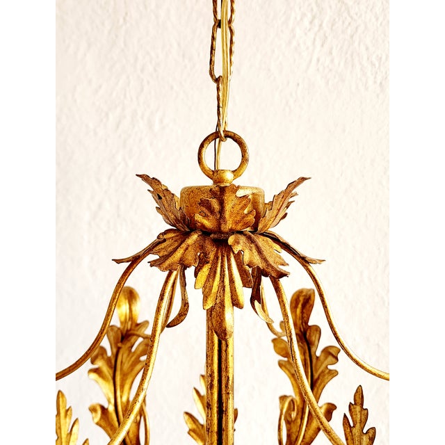Vintage Italian Gilt Iron Louis XVI Style Hanging Lantern For Sale In New York - Image 6 of 12