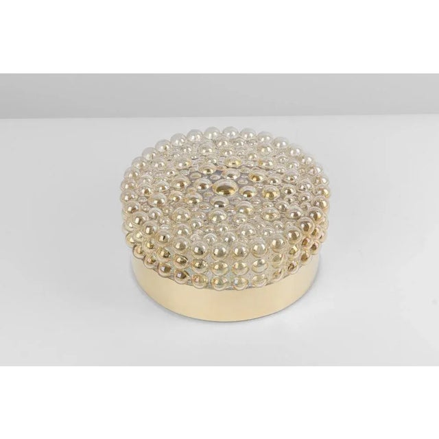 Large Amber Bubble Glass Wall Lights from Glashütte Limburg, Germany, 1970s For Sale - Image 12 of 13