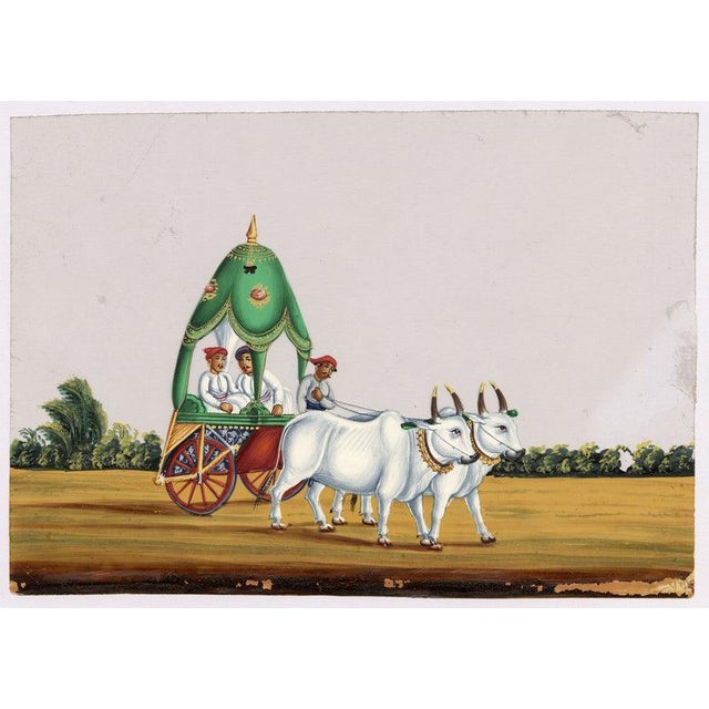 Indian Company School, Native Hackery with Two Oxen, 1800s, Gouche Paper For Sale - Image 6 of 9