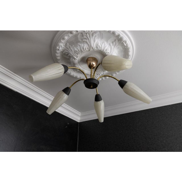 Black Mid-Century Modern German Sputnik Chandelier, 1950s For Sale - Image 8 of 18