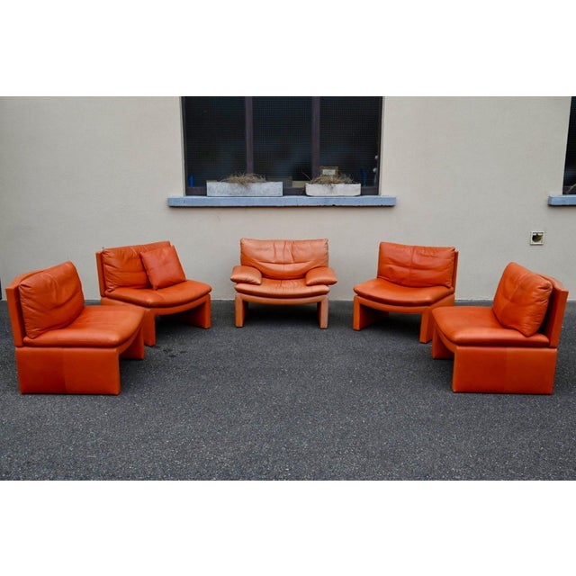 Animal Skin Series 5 Lounge Chairs in Cognac Orange Leather, 1970s, Set of 5 For Sale - Image 7 of 18