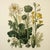 This fine art print reproduces a beautifully detailed 19th-century botanical illustration depicting an elegant arrangement...