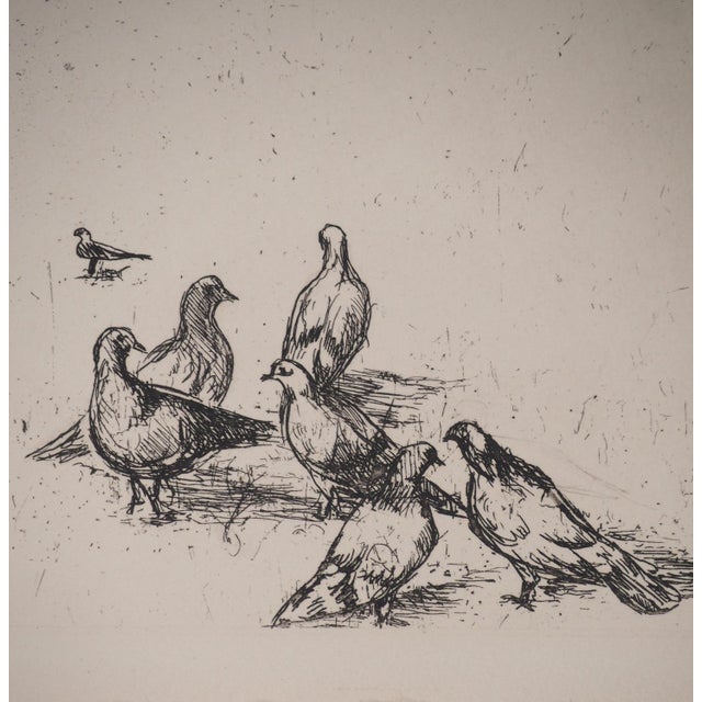 Eugene Corneau, Garden of the National Library, Engraving For Sale - Image 4 of 8