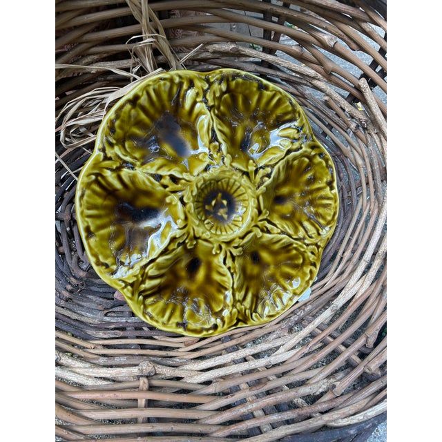 1950s French Gien Majolica Olive Green Oyster Plate For Sale - Image 14 of 15