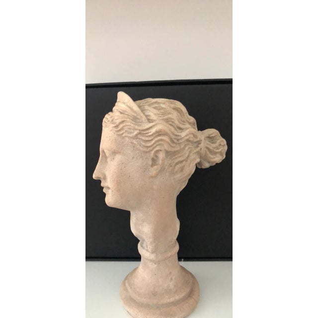 Austin Productions Late 20th Century Grecian Diana Bust For Sale - Image 4 of 12