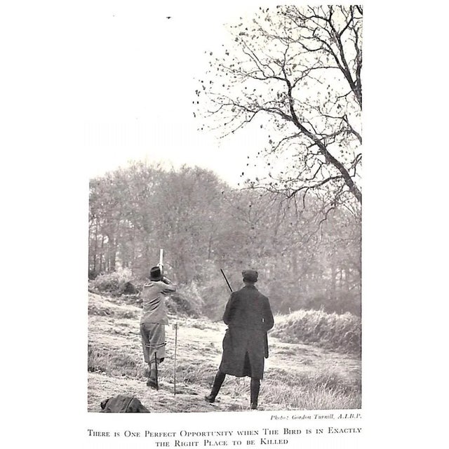 Paper "High Birds and Low" 1950 Richards, Coombe For Sale - Image 7 of 13