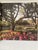A Hardbound Coffee Table Book and Cookbook with Original Jacket published in 2009 celebrating the HISTORIC GRAND HOTEL IN...