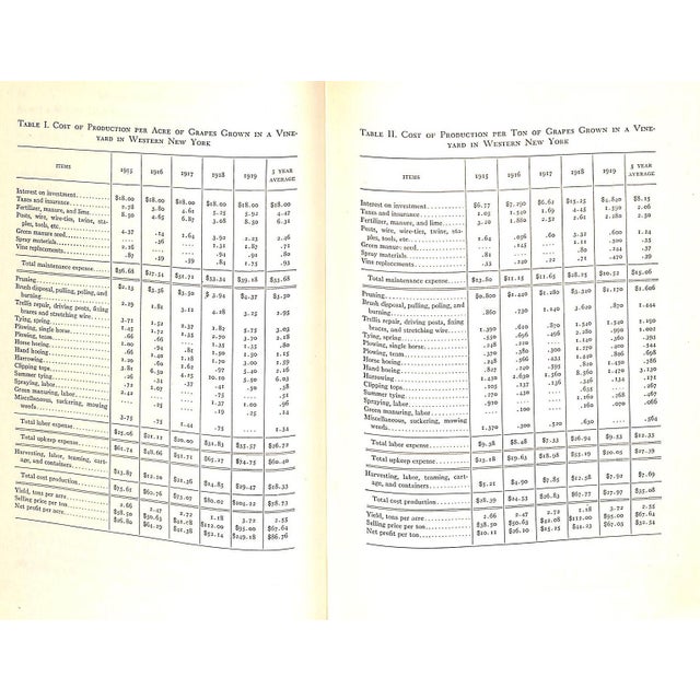 1940s "Grapes and Vines: From Home Vineyards" 1945 Hedrick, U. P. For Sale - Image 5 of 10